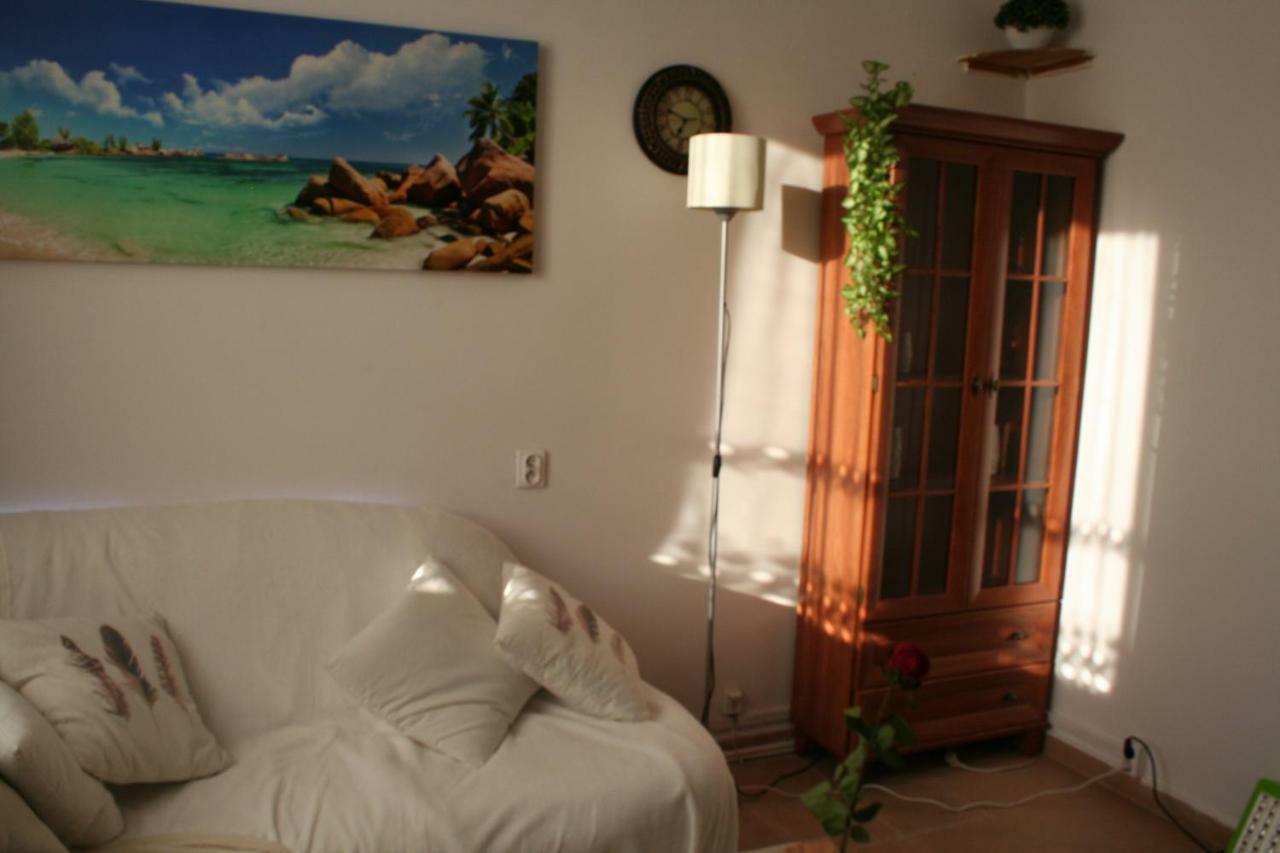 Apartament Centrum 3 Pokojowy Олщин Екстериор снимка